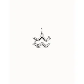 Aquarius Silver Metal Charm