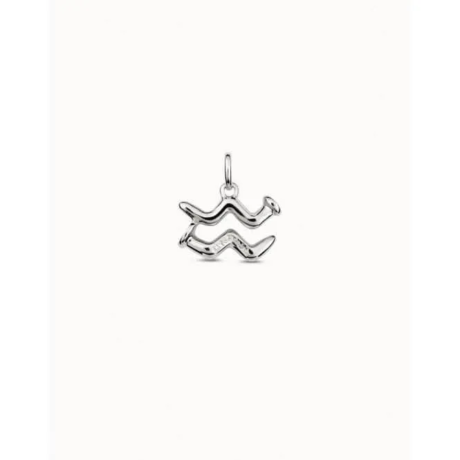 Aquarius Silver Metal Charm